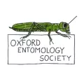 oxfentsoc